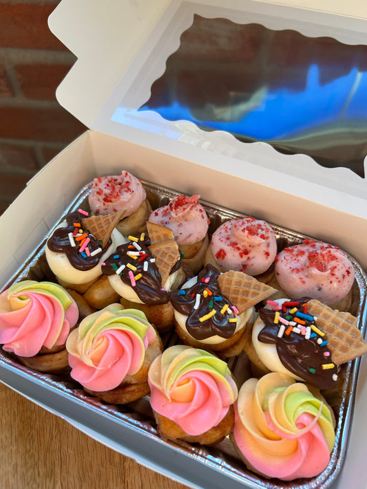 Assorted 1 dozen Ice Cream Cini Mini Box